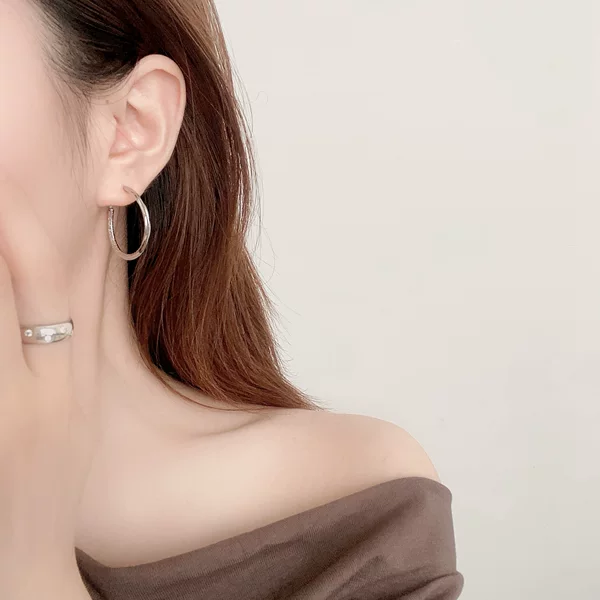 Simple Large Circle Original Earrings Internet Celebrant Same Earrings Advanced Sense Earrings Niche Fashion Ladies Jewelry Wholesale