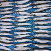 ��������]20kg��ԭ�b����ഺ�~�������r���~�����^�D��Ұ���~��