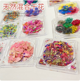 ��ϵ��Ȼֲ�����H�ɻ����ײ��� BLC��껨���С�黨ָ��DIY�b�