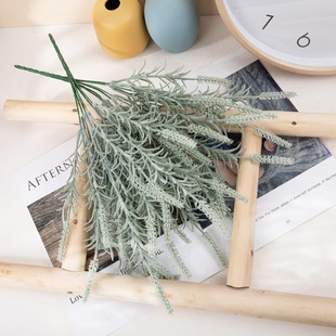 INS�L��β����ݷ��滨�S�Ҽٻ��Gֲ�����l��c�b�ˇƷMW85504