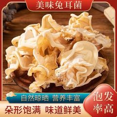 ウサギ耳菌 大竹耳 東北産野生乾物 長白山産大白玉菌 家庭用乾物特選