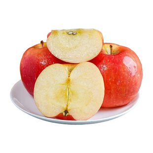 ��ϙ���С�O��������ˮ���O���������]�a��ֱ�l�O��һ�����l