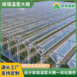 加工玻璃温室大棚阳光房 智能连栋温室大棚 草莓西瓜养殖育苗大棚