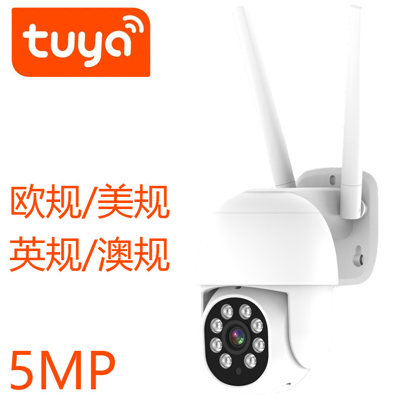 5Mp Graffiti Outdoor Outdoor Camera with Network Port Tuya Wireless 5 Million High-Definition Surveillance Camera Rj45