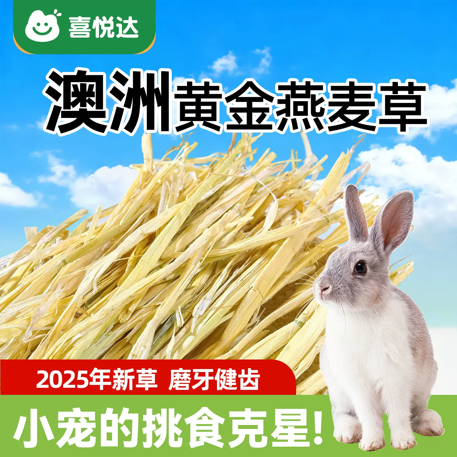 一件代发澳洲黄金燕麦草兔子龙猫荷兰猪干草草段宠物饲料豚鼠晒干