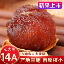 新客特惠福建14a莆田桂圆特级菌状元龙眼干整箱1斤大带壳肉厚散装