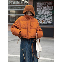 ��ɫ��q��ë��ñins�L2024���¶̿�����������n��С��������Ů