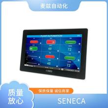 λ_P ̖x  A-169DV12 seneca