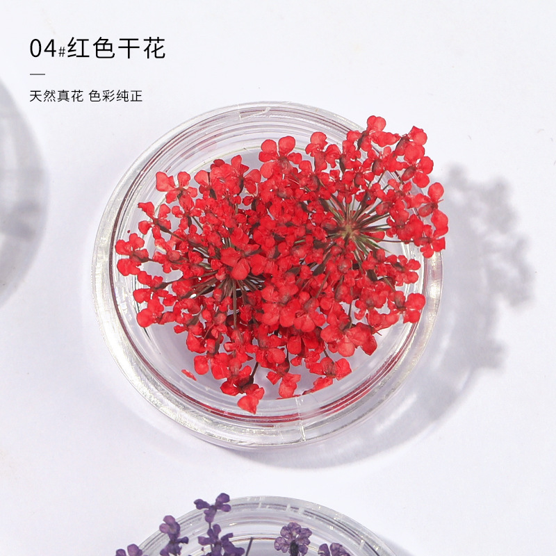 레드 레이스 플라워 (3 박스)