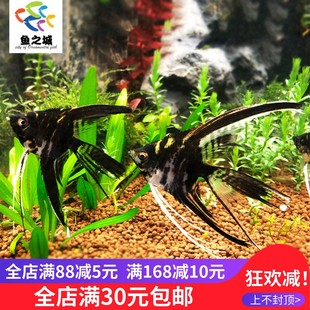�~ �߲��~���ʯ�ʯ�����~�ڰ��~���w�Ꭷ�~