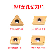 R424.9-180608���ɽ�ؔ���BTA���荵�Ƭ800-11T308M/TPMT220612