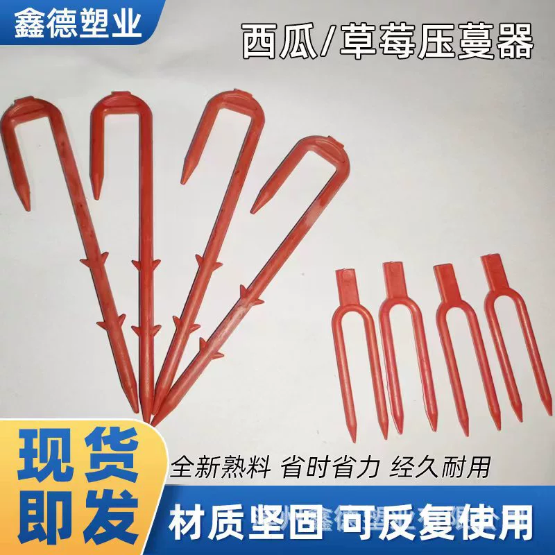 Оптовая продажа клубничный арбуз вилка для выращивания рассады