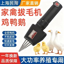 �ֳ����S����늄Ӽ��ݰ�ë�C�u���Z����ë������ˮ�o�����ʽÓë