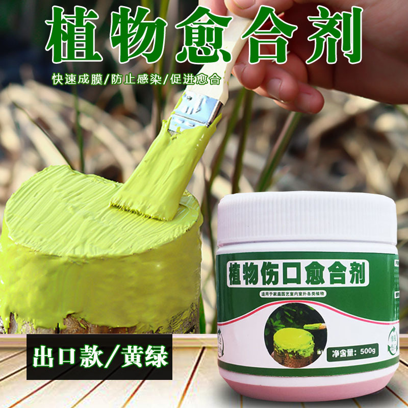 Tree wound healing agent trunk coating tonic bonsai bark coating agent fruit tree grafting incision repair paste