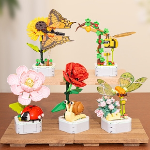 �eľ���x������ƴ�bƴ��С�w��ֲ��[���̎����Y��С���x����eľ