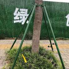 广东钢管树木支撑架种植防压倒歪树稳定器防腐金属防树倒绿色加粗