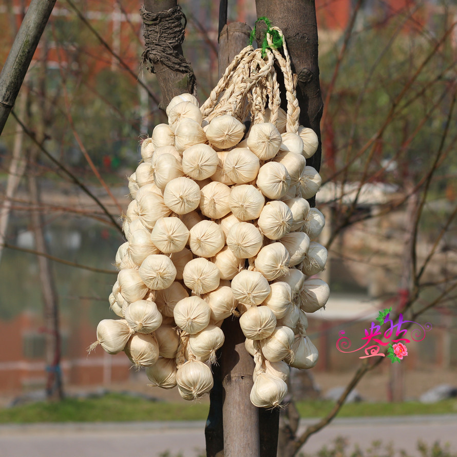 TB2dBZTjXXXXXXjXpXXXXXXXXXX_!!