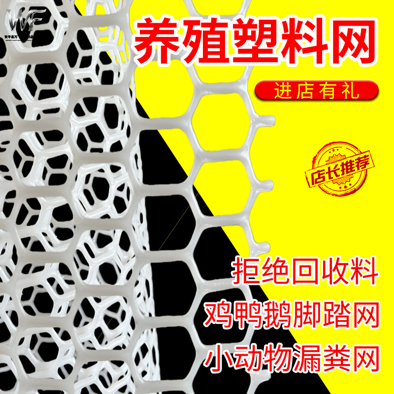 全新一级料养鸡鸭鹅漏粪网塑料网垫塑料网片塑料网格围栏网塑料网