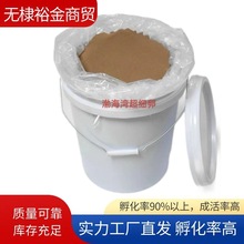 �������S���x���u�x���S���r�� �����ʸ� �r��з���~���_���D��