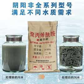 聚丙烯酰胺pam絮凝剂阴离子阳离子非离子洗沙洗煤专用聚丙稀酰胺