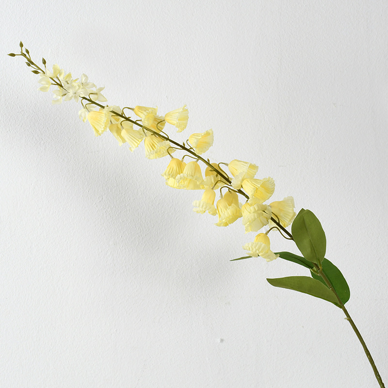 Lirio de los valles amarillo de tallo largo