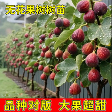 �o����������ش���������������҃�ͥԺ�̨�Ϸ������Nֲ�ͺ�