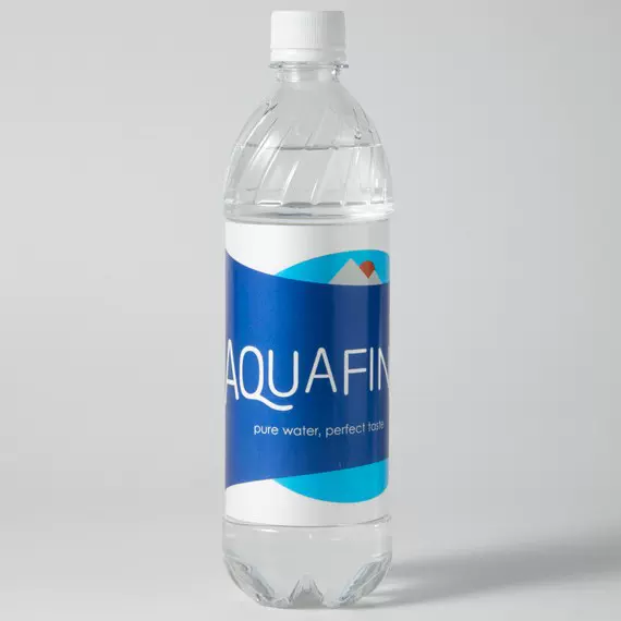 AQUAFINA隐匿水瓶保险箱藏私房钱储物水瓶节日礼品藏匿仿真矿泉水