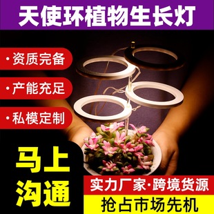 Led Angel Ring Plant Lamp 5V Succulent Fill Light Indoor Moss Potted Imitation Sunlight Hydroponic Growth Lamp USB