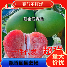 һl̩tʯӘ_tԼ޽ӱǼtͺͥ