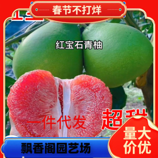 һ�����l̩���t��ʯ�����Ә������_�t���Լ޽ӱ��Ǽt�������ͺ�ͥ