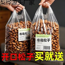 新货东北松子500g坚果罐装干果果仁特大颗粒手剥开口红松零食群木