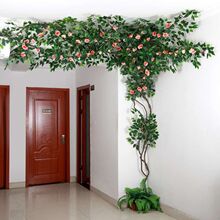 ~֦ټ~ӿ͏d҃ȾGֲٻٗl픹Ř