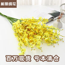 ���滨5���Sɫ�����m��c�Ҿ��b����ĺ����m�ٻ��� �S�����l