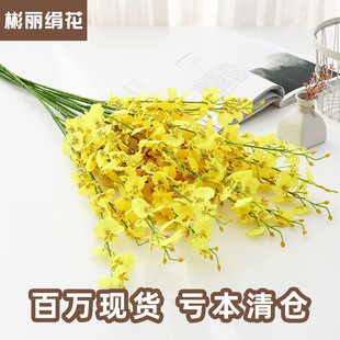 ���滨5���Sɫ�����m��c�Ҿ��b����ĺ����m�ٻ��� �S�����l