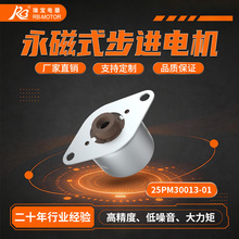 RB Motor25mm����PM��ͨ�ݸ�����2V���Ų����綯������