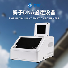 鸽子DNA鉴定设备dna鉴定仪器鸽子DNA检测仪器赛鸽飞行能力鉴定仪