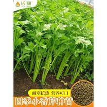 ļ۲˷NӴȫС۷NѴ̨rˮ۲߲˷N