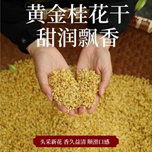 四川干桂花茶特级可食用无硫黄金桂花干泡水散装厂家批发可代加工