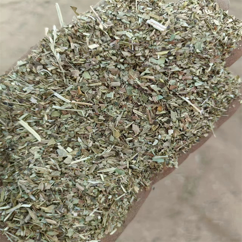 微信圖片_20230608192524