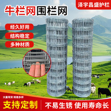 热镀锌铁丝网草原圈牛羊围网圈地圈果园隔离围栏Y型立柱牛栏网厂