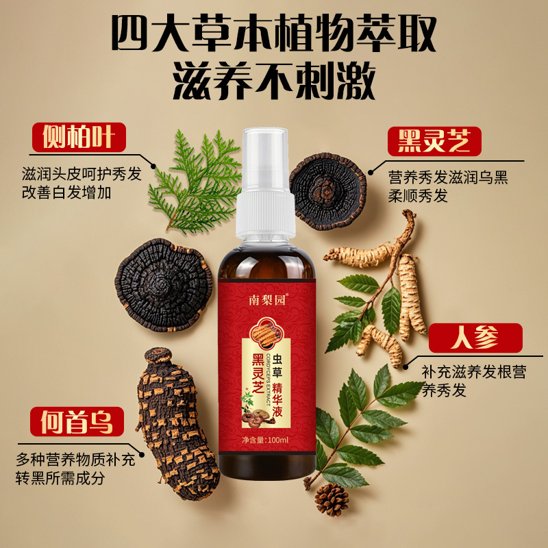 [Source Factory] Black Ganoderma Cordyceps Hidratante e hidratante para el cabello Esencia hidratante de Ufa al por mayor genuina