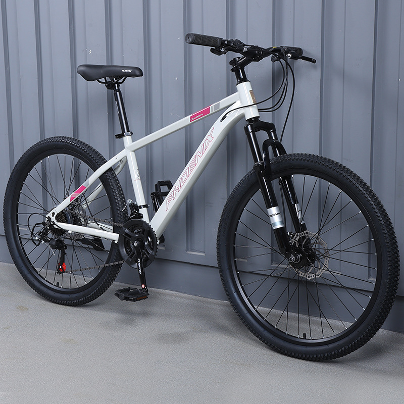 Aluminum frame spoke wheel-off-white-24 inches-24 speed