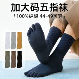 运动休闲棉袜;船袜、隐形袜;分趾袜