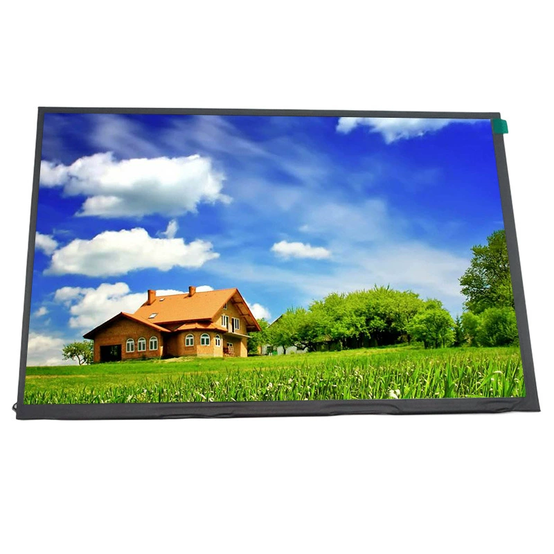 HD 10.1-дюймовый LCD-дисплей 1920x1200 IPS экран LVDS медицинский планшетный дисплей