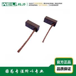 碳刷、电刷;电动机配件