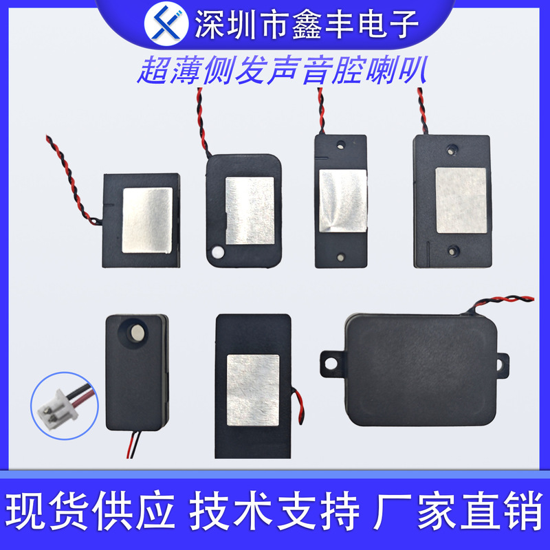 2030/2520/3514/3520 Ultra-Thin Side-Sound Flat-Panel Sound Cavity Speaker Ai Voice Mini Speaker