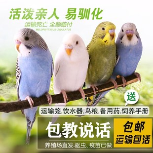 6BVQ�W�^���B�B�������L녰��W�^��С�͕��fԒ�W�^���w��ﻢƤ