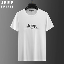 JEEP SPIRITļʿTAI͸abreT