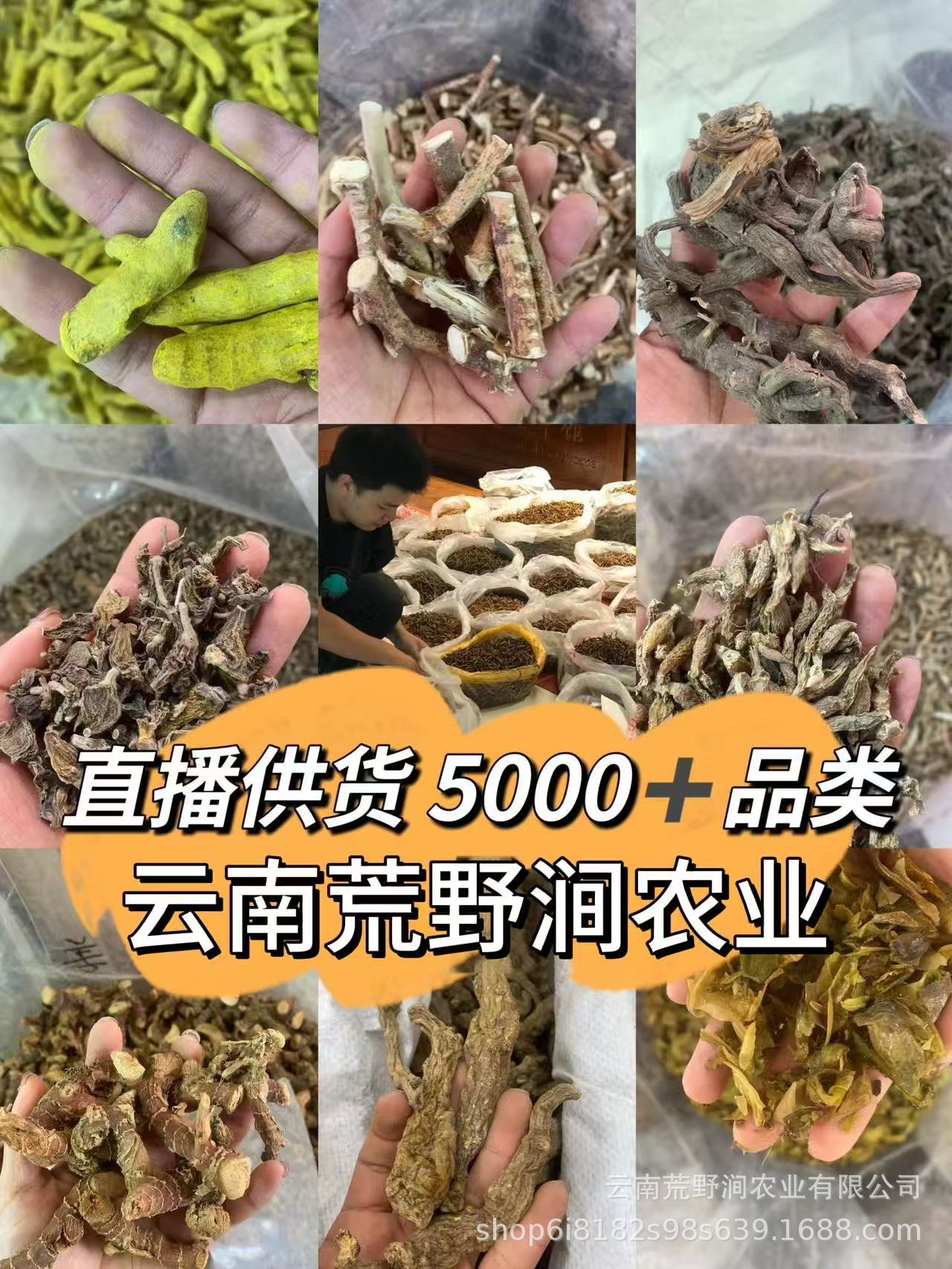 Dried Morel Mushrooms Yang Du Jun Morchella Gift Box Wild Yunnan Gourmet Culinary Fungi Holiday Gift Set details