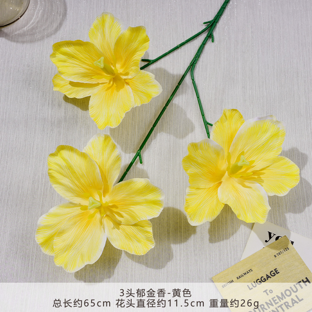 FY-3头郁金香-黄色